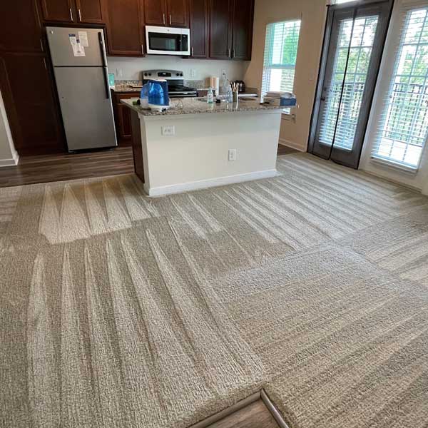 Carpet Cleaning Service in Arlington VA 