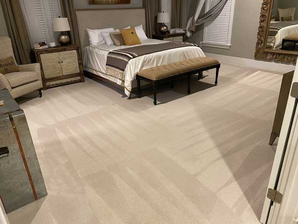 Carpet Cleaning in Arlington VA 